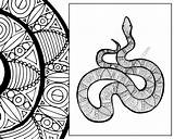 Zentangle Coloring Animal Snake Pdf Adult Sheet Colouring Sketch Description sketch template