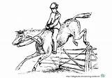 Pferd Pferde Ausmalen Malvorlage Voltigieren Ausdrucken Reiter Babyduda Ausmalbild Kostenlos Springen Sattel Sprung Pferdebilder Besten Pferdeköpfe Reiterin sketch template