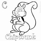Chipmunk sketch template