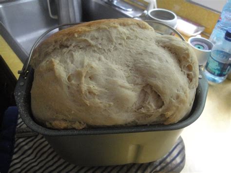 sourdough bread   bread machine oster bread machine
