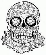 Coloring Skull Sugar Pages Popular sketch template