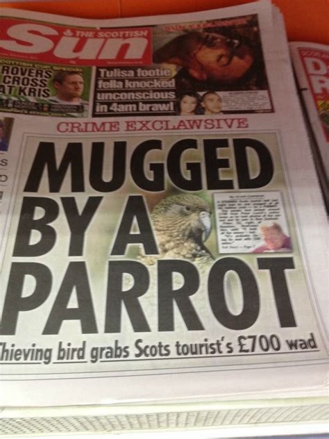 hilariously inappropriate newspaper headlines funny gallery