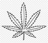 Weed Marijuana Hemp Trippy Coloringonly Weeknd Vhv Cannabis sketch template