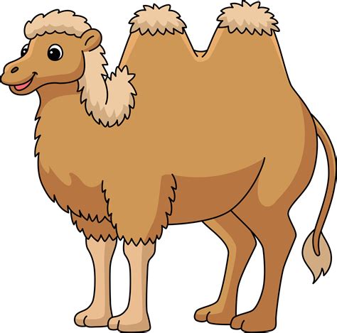 bactrian camel animal cartoon colored clipart  vector art