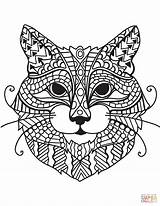 Cat Coloring Zentangle Head Pages Adult Cats Blank Printable Template Adults Categories Color sketch template