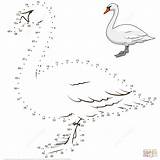 Dot Swan Coloring Pages Dots Printable Skip sketch template