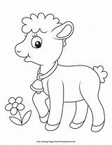 Coloring Lamb Baby Pages Printable Color Animal Primarygames Spring Easter Animals Ebook sketch template