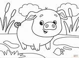 Pig Coloring Pages Printable Animals Cartoon Supercoloring Games Paper Drawing Categories sketch template