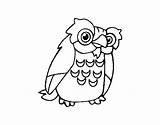 Owl Coloring Coloringcrew sketch template