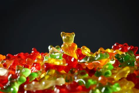 bear bears candy  sway essay