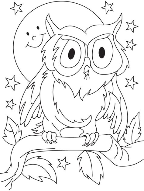owl coloring pages  preschoolers
