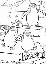 Madagascar Coloring Pages Skipper Penguins Kowalski Rico Dragoart sketch template