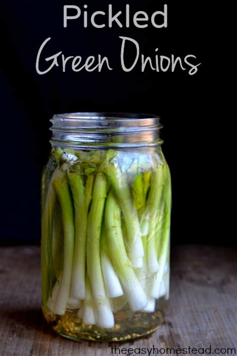canning recipes