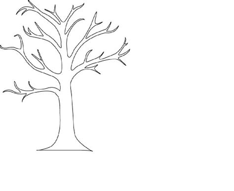 clipart coloring tree   cliparts  images  clipground
