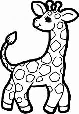 Giraffe Coloring Pages Clipart Small Zoo Printable Kids Animal Wecoloringpage Baby Sheets Cartoon Choose Board sketch template