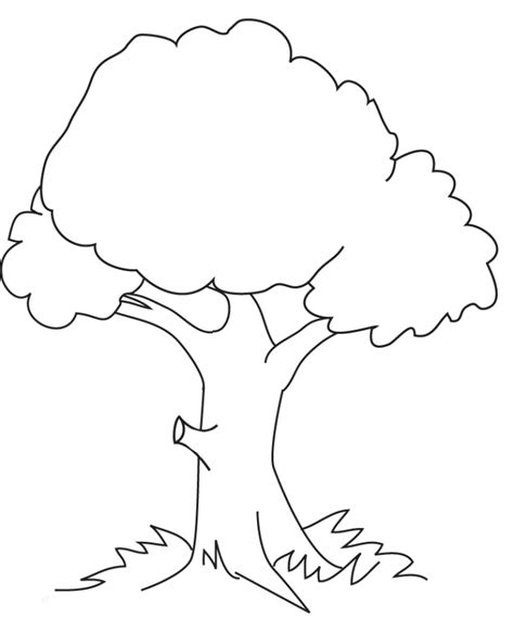 large tree coloring page coloring pages