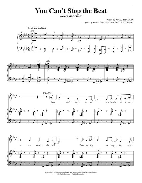 you can t stop the beat sheet music marc shaiman piano and vocal