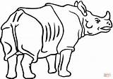 Rhinoceros Rhino Rhinocéros Ausmalbild Panzernashorn Schaut Vorn Nashorn Rhinos Lapin Kategorien Adorable sketch template