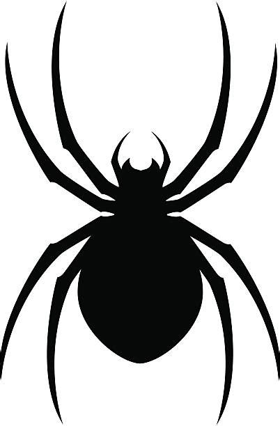 Best Spider Illustrations Royalty Free Vector Graphics And Clip Art Istock