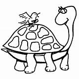 Tortuga Kura Tartaruga Mewarnai Tortoise Jabuti Passarinho Pajaro Tartarughe Schildpad Pintando Pintarcolorear Diviértete Pasarlo Tudodesenhos Sketsa Buscando Puedes También Dieren sketch template