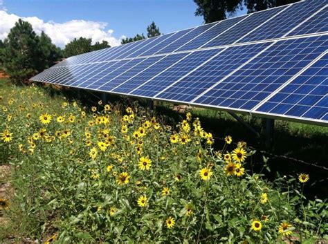 community solar gardens  quickly catching    affordable   utilize solar  offset