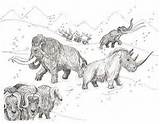 Cenozoic Era Mammals Geologic Time Period Line Age Fossils Facts Earth Eon sketch template