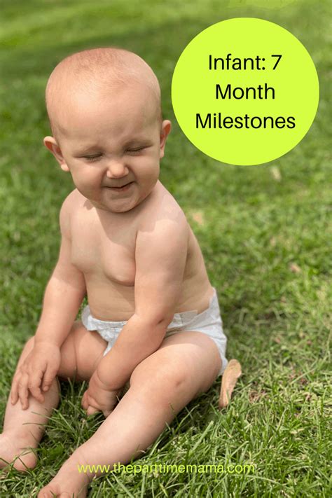 infant  month milestones  month milestones  month  baby  month  milestones