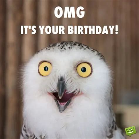 happy birthday images funny funny png