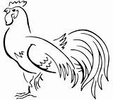 Gallo Animali Coloradisegni Rooster Disegno Pages2color sketch template