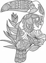 Coloring Adult Toucan Pages Zentangle Animal Mandala Printable Gel Pens Zoo Amazing Book Flower Books Star Template Coloringbay Choose Board sketch template