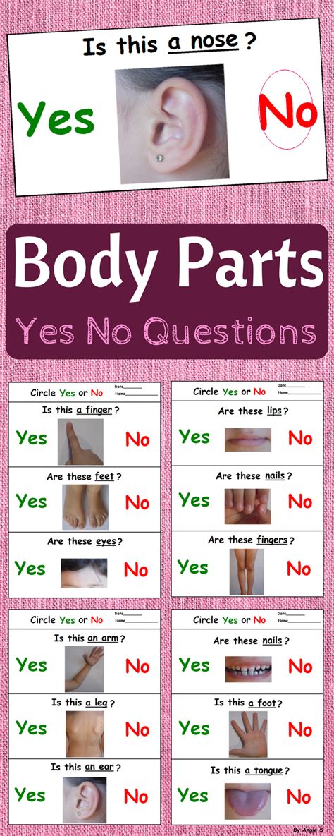 body parts yes no questions for speech therapy esl teaching body parts preschool yes or no