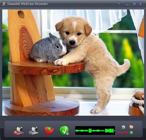 registrare video con webcam blog conversione video