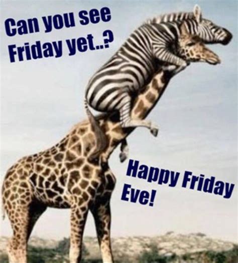 𝓝𝓲𝓸𝓶𝓲 𝓒𝓡 🦋 On Twitter Happy Friday Eve Primaryrocks