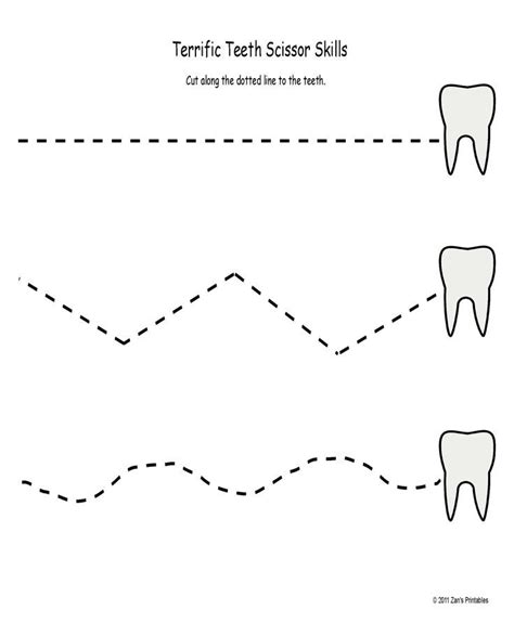 printable worksheets  teeth printabletemplates