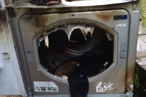 Faulty Tumble Dryers Deemed A Fire Risk Arent Being Replaced Despite