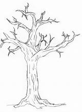 Tree Drawing Simple Sketch Easy Drawings Clip Clipart Trunk Line Family Cliparts Trees Draw Sketches Library Getdrawings Collection sketch template