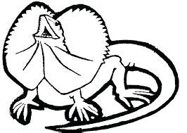 image result  reptile colouring pages super coloring pages