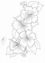 Flower Coloring Pages Border Getcolorings Hibiscus Printable Color sketch template