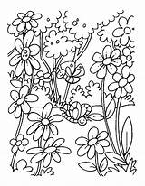 Coloring Pages Birds Flowers Spring Getcolorings Pict Printable sketch template