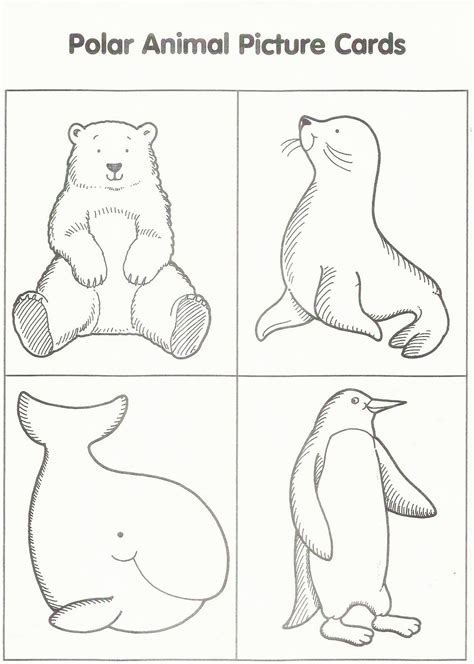 preschool winter animals coloring pages lyricilchoi