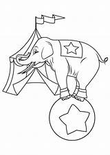 Coloring Elephant Circus Pages Getcolorings Books sketch template