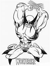 Wolverine Superhero sketch template