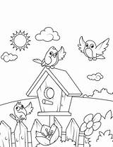 Birdhouse Casetta Uccellini Colorir Ausmalbild Lente Pajaros Pajaro Malvorlage Ausmalbilder Vogelhaus Vicino Loro Primavera Imprimir Stampare Casita sketch template