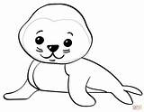 Seal Coloring Baby Cute Cartoon Pages Seals Animals Printable Drawing sketch template