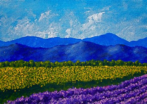 mike kraus sunflowers  lavender  provence