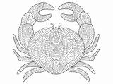 Crab Coloring Book Adults Vector Sea Mandala Zentangle Adult Animal Illustration sketch template