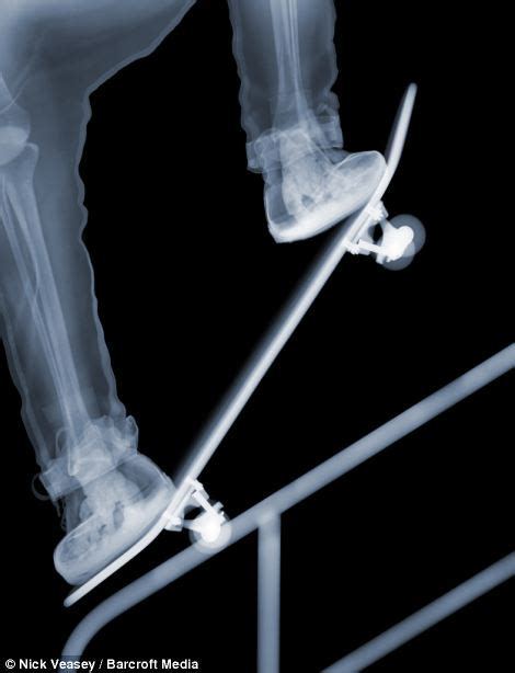 artist nick veasey s x ray work captures what we look like