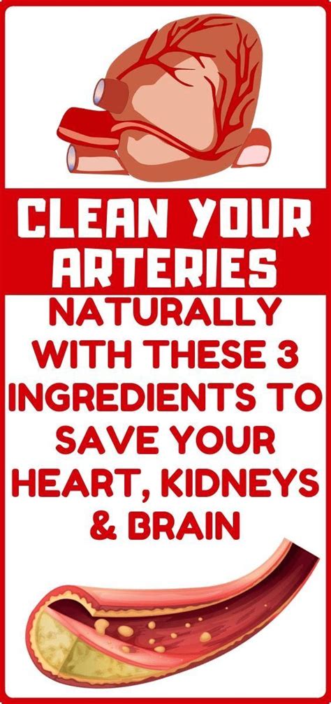 clean  plaque  arteries   natural remedies healthy