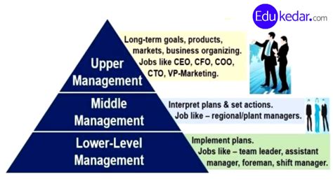 levels  management  functional area types  managers