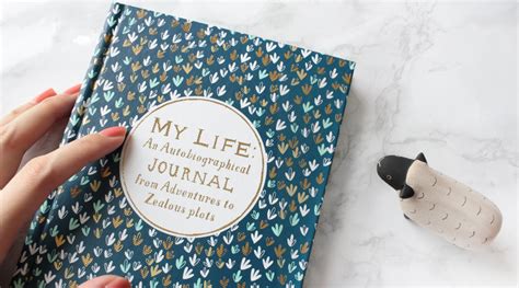 life journal  inventory